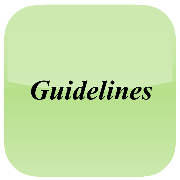 Guideline icon